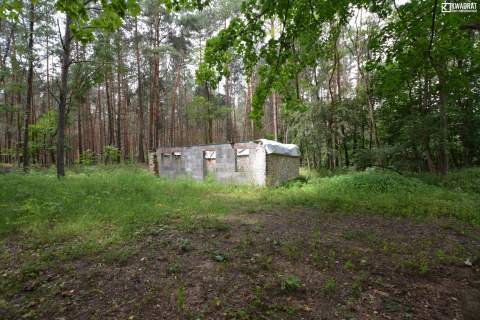 Okale - dz. budowlana 25a w lesie, Kazimierz Dolny