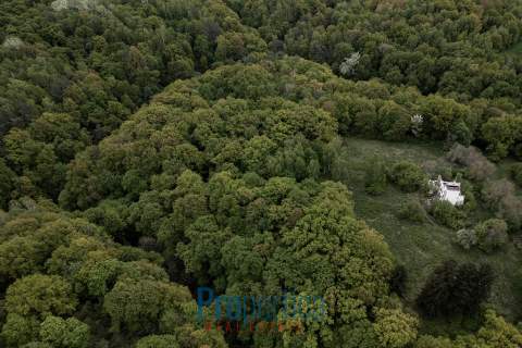 Prywatne wzgórze las wąwóz Działka budowlana