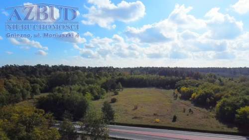Działka inwestycyjna na sprzedaż, 40000 m2, Gniezno