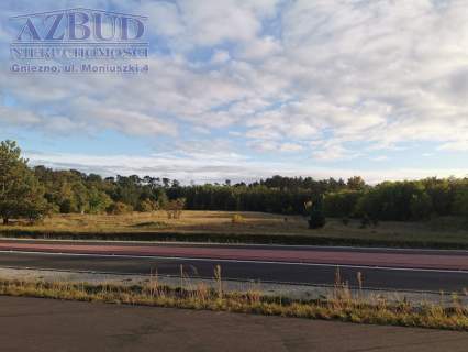 Działka inwestycyjna na sprzedaż, 40000 m2, Gniezno