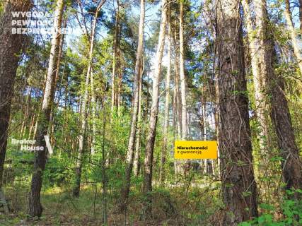 grunt leśny z możliwością uzyskania wz Warszawa