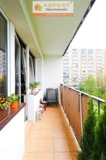3-pokojowe mieszkanie z balkonem i CO miejskim