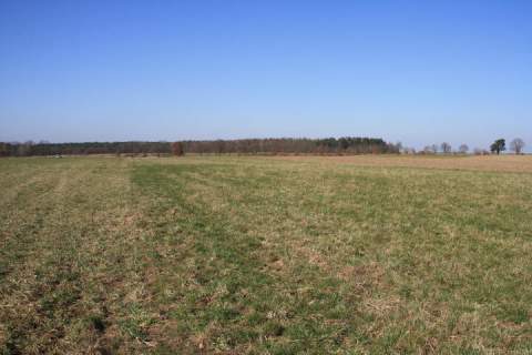 Działki o pow. 3000 m kw. w atrakcyjnej cenie