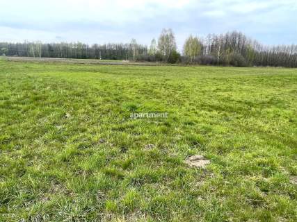 Działka, Smyków, gm. Radgoszcz