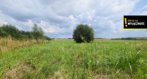 Działka 8600m2 w malowniczej okolicy