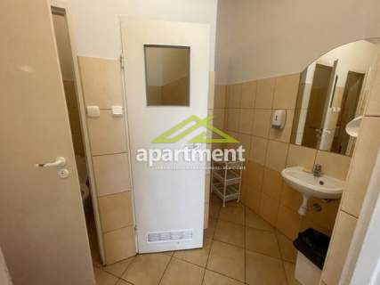 Lokal, 500 m2, duża działka 2000 m2, Radgoszcz,