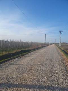 8 do wyboru, Spacerowa, media, lokalizacja