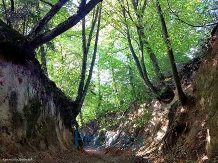 Prywatne wzgórze las wąwóz Działka budowlana