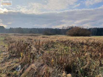 Działka bud/uzbrojona/Malerzów wśród lasów