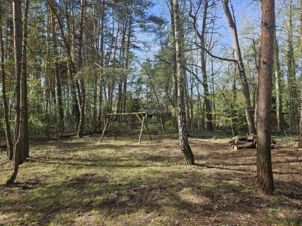 Działka rekreacyjna w lesie 30 min od Warszawy