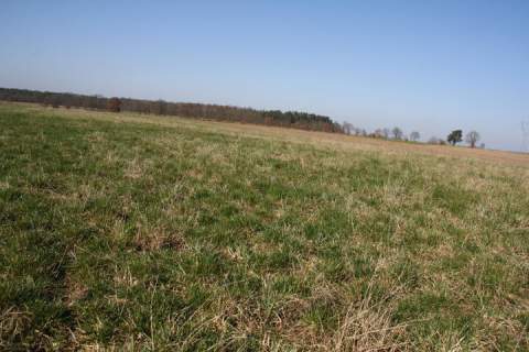 Działki o pow. 3000 m kw. w atrakcyjnej cenie