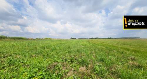 Działka 8600m2 w malowniczej okolicy