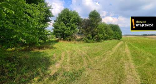 Działka 8600m2 w malowniczej okolicy