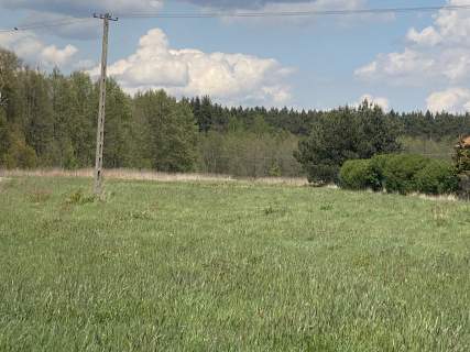 Piękna działka pod lasem