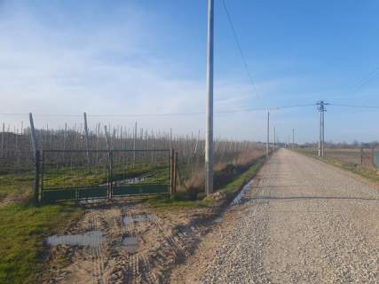 8 do wyboru, Spacerowa, media, lokalizacja