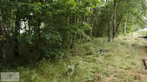Działka budowlana na sprzedaż, 2300 m2, Bedoń Przykościelny