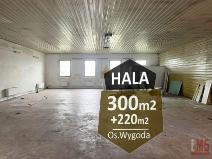 Hala 300 m2 220m2