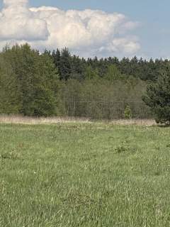 Piękna działka pod lasem