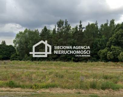 Działki leśne 16.855 m2 w Borkowo