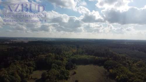 Działka inwestycyjna na sprzedaż, 40000 m2, Gniezno