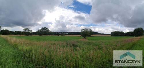 Działka 6121m2 - Pas Nadmorski