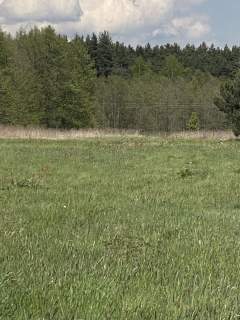 Piękna działka pod lasem
