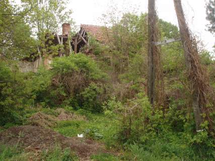 Siedlisko Szreka i Fiony w Parku Krajobrazowym Chełmy