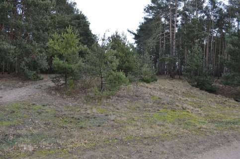 Ziemia rolna w Augustynowie gm. Dąbie na sprzedaż.