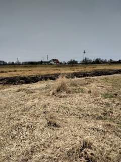 Dziaka rolna 2.81 ha,Łęgi,gm. Dobra.