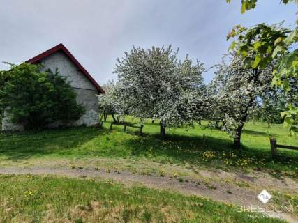 Siedlisko/gospodarstwo na Wzgórzach Dylewskich - 9 ha