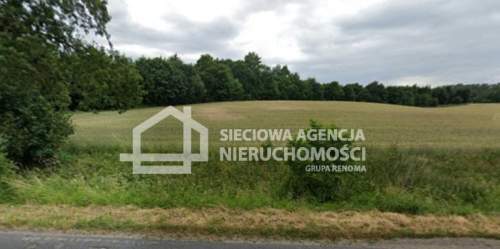 Atrakcyjna działka rolna 8700 m2, Niedamowo