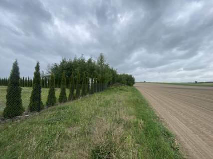 Działka budowlana 691 m2 w Borkach Siedleckich 