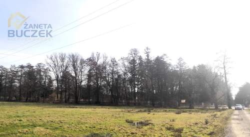 Sprzedam działkę budowlano-usługową w Nieborowie