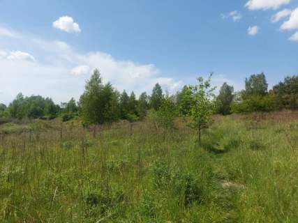 Działka budowlana na sprzedaż, 2293 m2, Sosnowiec