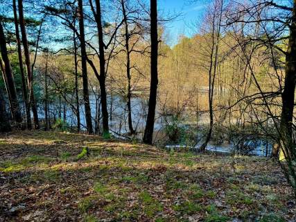 Działka leśna nad Pilicą-Ostrów gm. Aleksandrów