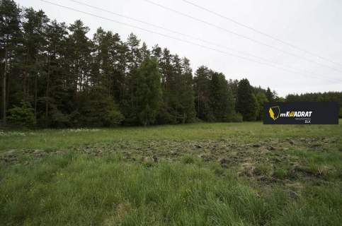 Działka rolna na sprzedaż, 16400 m2, Regiel