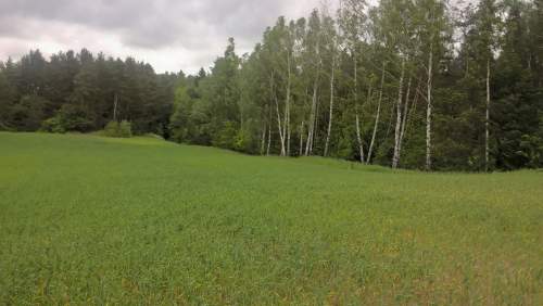 Mazury Stare Juchy działki 3000m2 w okolicach jeziora Garbas