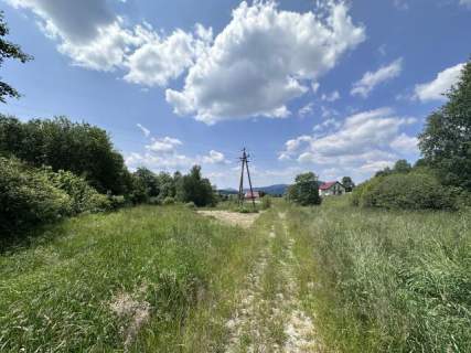 Działka, Kasina Wielka 6750 m2 - Rolna Siedliskowa