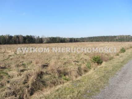 Działka rolna na sprzedaż, 261600 m2, Wólka Łasiecka