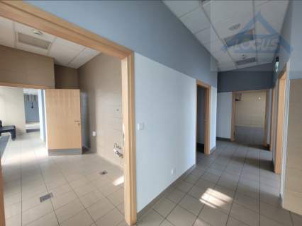 Lokal usługowy, parter 256 m2 wynajem, Mokotów