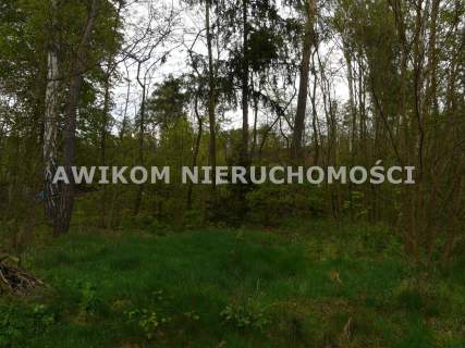 Działka leśna na sprzedaż, 3179 m2, Joachimów-Mogiły