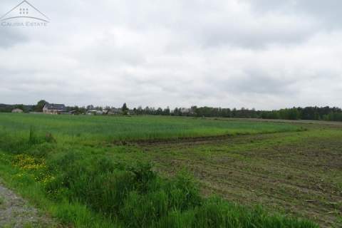 Działka w cichej okolicy gm. Ceków-Kolonia