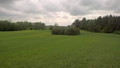Mazury Stare Juchy działki 3000m2 w okolicach jeziora Garbas