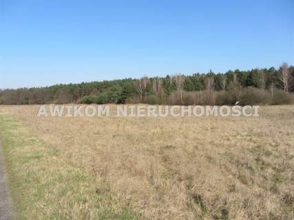 Działka rolna na sprzedaż, 261600 m2, Wólka Łasiecka