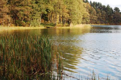 Mazury Stare Juchy działki 3000m2 w okolicach jeziora Garbas
