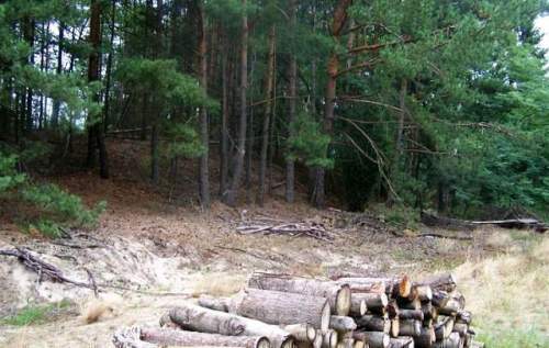 Zainwestuj na obszarze Natura 2000 Puszcza Notecka