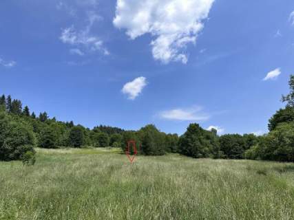 Działka, Kasina Wielka 6750 m2 - Rolna Siedliskowa