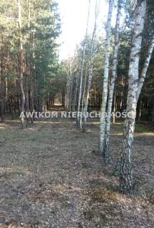 Działka leśna na sprzedaż, 9813 m2, Borowiny