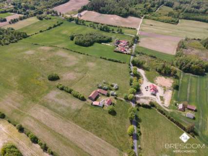 Siedlisko/gospodarstwo na Wzgórzach Dylewskich - 9 ha
