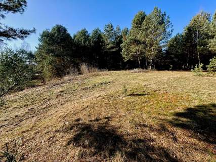 Działka leśna nad Pilicą-Ostrów gm. Aleksandrów